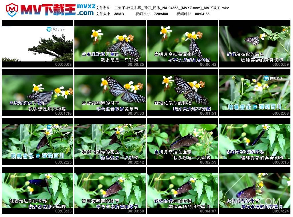 王亚平-梦里彩蝶_国语_民歌_NAI04363